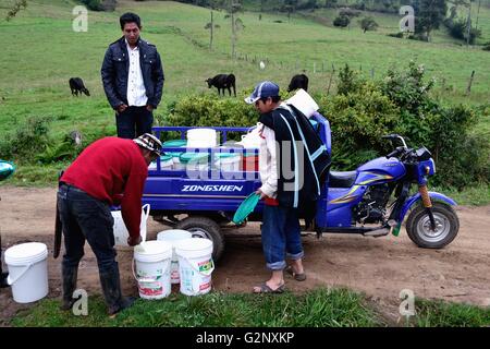 Il trasporto di latte in Pulun ' Las Huaringas ' - HUANCABAMBA.. Dipartimento di Piura .PERÙ Foto Stock