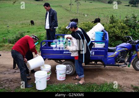 Il trasporto di latte in Pulun ' Las Huaringas ' - HUANCABAMBA.. Dipartimento di Piura .PERÙ Foto Stock