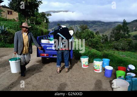 Il trasporto di latte in Pulun ' Las Huaringas ' - HUANCABAMBA.. Dipartimento di Piura .PERÙ Foto Stock