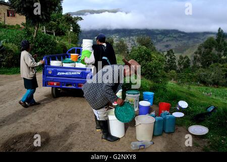 Il trasporto di latte in Pulun ' Las Huaringas ' - HUANCABAMBA.. Dipartimento di Piura .PERÙ Foto Stock