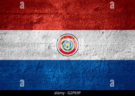 Bandiera del Paraguay o paraguaiane banner sulla trama ruvida Foto Stock