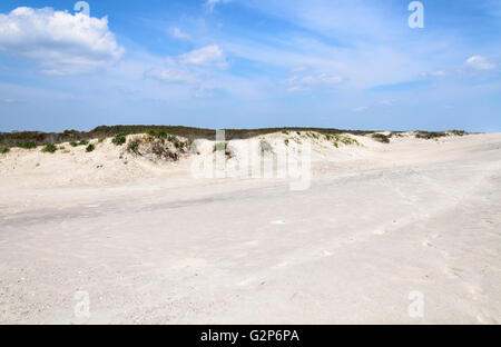 Assateague Island Foto Stock