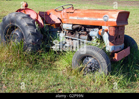 :Vintage rosso abbandonati trattore Massey Ferguson 135 nel cantiere di fattoria ricoperta da erba a Richmond, Sud Africa Foto Stock