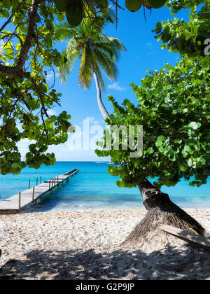 Spiaggia tropicale e le palme con il molo di legno in background Foto Stock