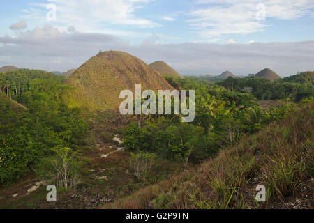 Chocolate Hills a Bohol, Filippine Foto Stock