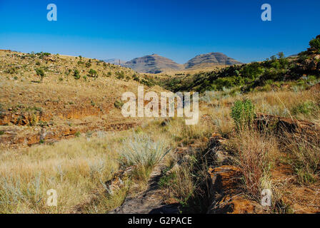 Blyde River Canyon, Sud Africa Foto Stock