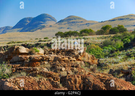 Blyde River Canyon, Sud Africa Foto Stock