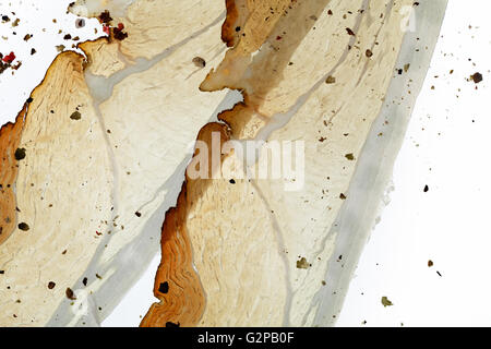 Fette di aria secca dry-curec prosciutto su retroilluminazione Foto Stock