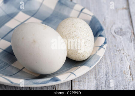 Uovo di oca e anatra sul bianco e blu della piastra sulla tavola di legno Foto Stock