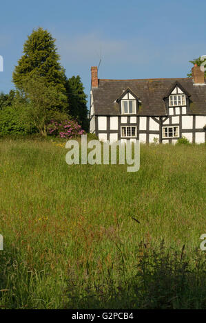 Cottage a Weston sotto Redcastle. Shropshire. In Inghilterra. Regno Unito. Europa Foto Stock