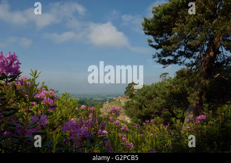 Vista da Hawkstone Park Follies. Shropshire. In Inghilterra. Regno Unito. Europa Foto Stock