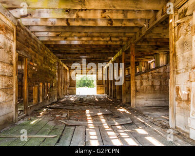 Interno del granaio storico in corrispondenza dei derelitti resti della Haynes Ranch vicino a Osoyoos, BC, Canada Foto Stock