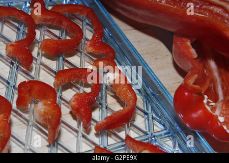 Peperoni rossi dolci sul vassoio di disidratante Capsicum Foto Stock