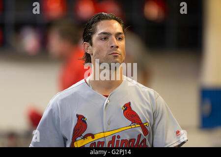 Milwaukee, WI, Stati Uniti d'America. 31 Maggio, 2016. Louis Cardinals center fielder Randal Grichuk #15 durante il Major League Baseball gioco tra il Milwaukee Brewers e St. Louis Cardinals a Miller Park di Milwaukee, WI. Cardinali ha sconfitto il Brewers 10-3. John Fisher/CSM/Alamy Live News Foto Stock