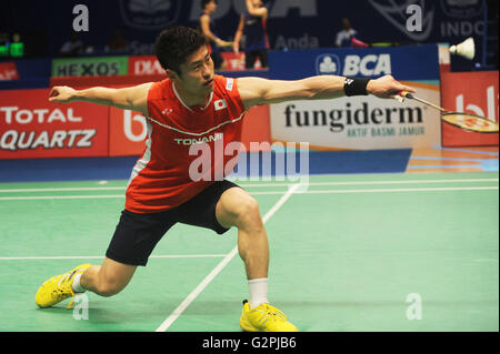 Jakarta, DKI Jakarta, Indonesia. Il 1 giugno, 2016. JAKARTA, Indonesia - 01 giugno : Sho Sasaki del Giappone colpisce un ritorno contro Wong ala Vincen Ki di Hongkong durante uomini singoli in Indonesia Open 2016 a Jakarta, Indonesia il 01 giugno, 2016. © Sijori Immagini/ZUMA filo/Alamy Live News Foto Stock