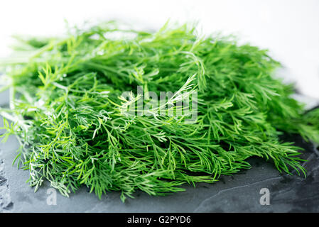 Mazzetto di aneto fresco su un tavolo. Foto Stock