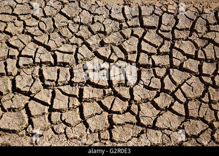 Asciugato il Fosso di Irrigazione argilla del suolo in Albufera campi di riso di Valencia Foto Stock