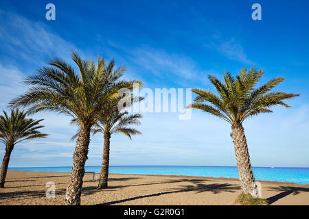 Denia spiaggia di Las Marinas palme nel mediterraneo di Alicante Spagna Foto Stock