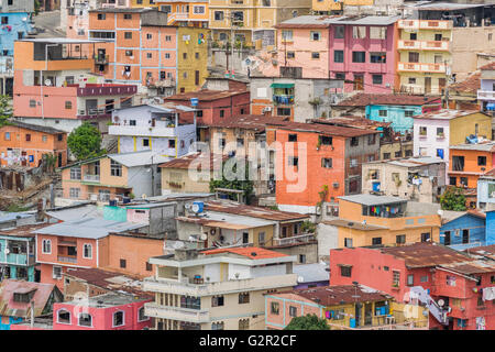 Vista in dettaglio della pittoresca colorate case di poveri alla sommità di una collina a Cerro Santa Ana a Guayaquil, Ecuador. Foto Stock