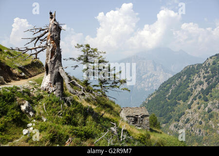 Piccola capanna di pietra in montagna, Diga di Moledana, Valle dei ratti, la Val dei Ratti, Lombardia, Italia Foto Stock