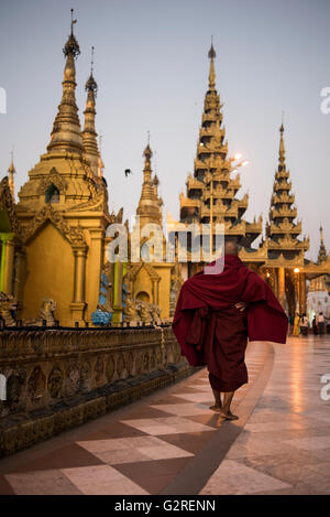 Un monaco buddista passeggiate intorno alla Shwedagon pagoda Yangon, Myanmar. Foto Stock