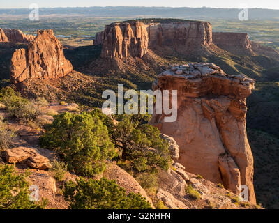 La mattina presto luce sulle scogliere, Colorado National Monument, Grand Junction, Colorado. Foto Stock