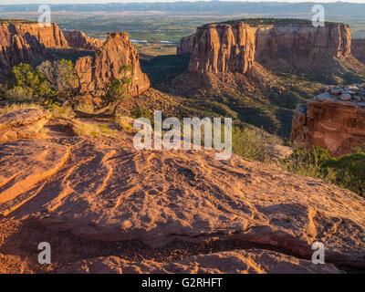 La mattina presto luce sulle scogliere, Colorado National Monument, Grand Junction, Colorado. Foto Stock