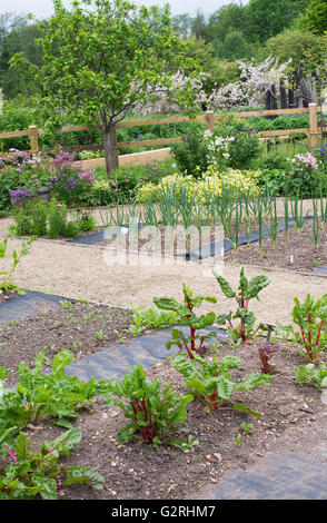 Riparto vegetali a Ryton giardini e orti biologici in primavera. Warwickshire, Inghilterra Foto Stock