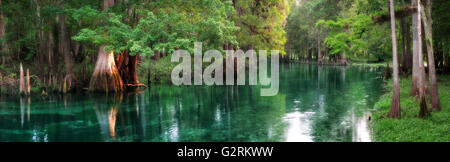 Panorama di Ichetucknee Springs all'alba, una splendida primavera-fiume alimentato in Florida Foto Stock