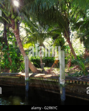 Sedie per rilassarsi sul dock, con tropicale lussureggiante foresta di palme dietro Foto Stock