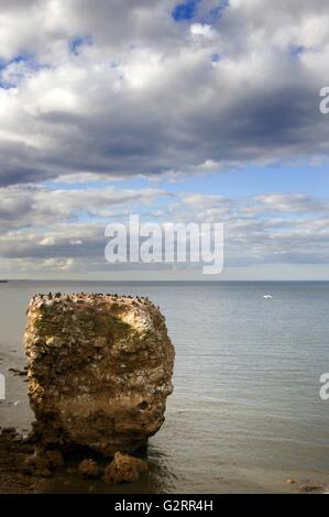 Marsden bay / Il Leas, South Shields Foto Stock