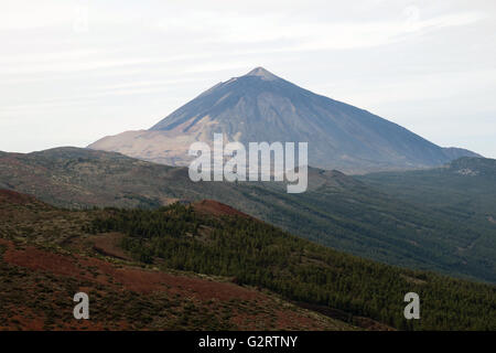 Il monte Teide, Pico del Teide Tenerife, è un vulcano la cui ultima eruzione risale al novembre 1909 ed è la montagna più alta in Spagna. Foto Stock