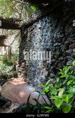 El Nido parco Ixtapaluca in Messico Foto Stock