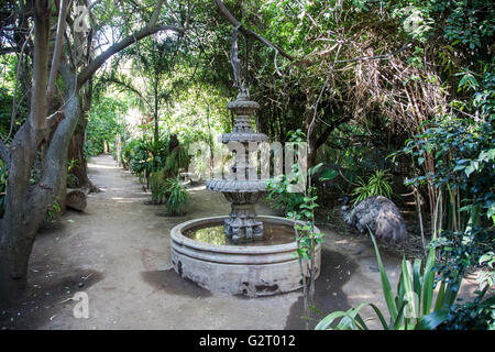 El Nido parco Ixtapaluca in Messico Foto Stock