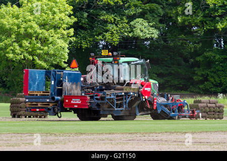 Turf crescendo in Wigan Greater Manchester, Lancashire Foto Stock