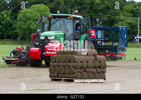 Tappeto erboso di raccolta con una commerciale RoboMax Turf taglierina, Southport, Regno Unito Foto Stock