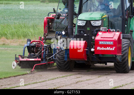 Turf crescendo in Wigan Greater Manchester, Lancashire Foto Stock