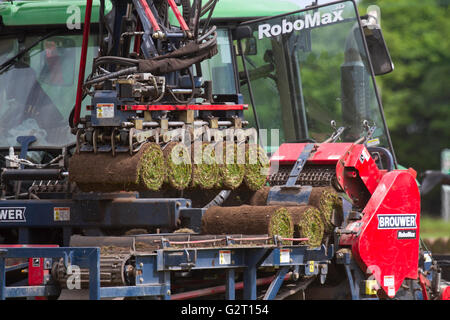 Turf crescendo in Wigan Greater Manchester, Lancashire Foto Stock