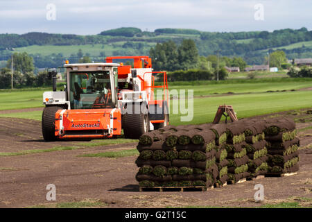 AutoStacker  di impilamento automatico trebbiatrice turf è alimentato da un motore John Deere, Southport, Regno Unito Foto Stock