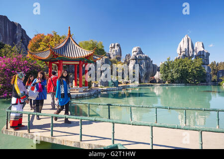 Shilin Foresta di Pietra, Yunnan, Cina Foto Stock