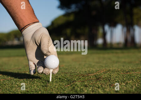 Primo piano dei giocatori di golf di porre mano palla sul tee. bellissima alba sul campo da golf del paesaggio in background Foto Stock