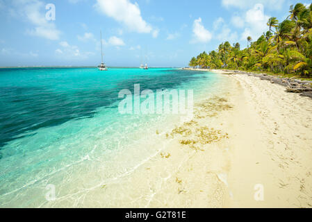 Spiaggia nelle isole San Blas, Panama Foto Stock