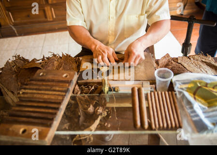 Lavoratore la produzione del famoso sigari cubani. Pinar del Rio, Cuba, Caraibi Foto Stock