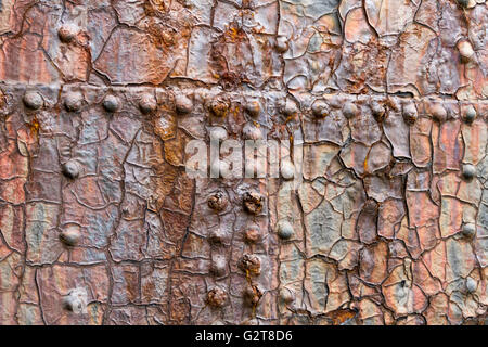 Close up di grandi rubare porta in un bacino a secco a Belfast Irlanda del Nord Foto Stock