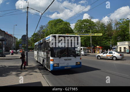 Servizio di autobus urbano nella città di Kaliningrad. Bianco e blu bus Mercedes-Benz en route Foto Stock