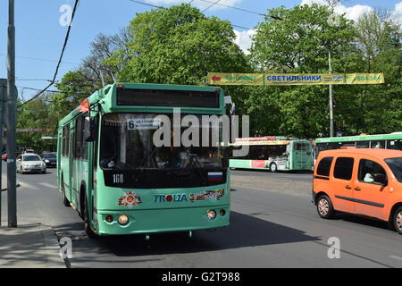 Il predominante filobus livrea del veicolo nella regione di Kaliningrad è verde insalata Foto Stock