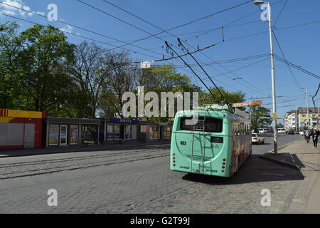 Il predominante filobus livrea del veicolo nella regione di Kaliningrad è verde insalata Foto Stock