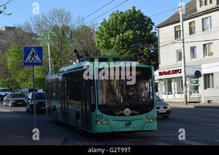 Il predominante filobus livrea del veicolo nella regione di Kaliningrad è verde insalata Foto Stock