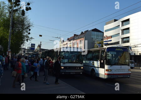 Servizio di autobus urbano nella città di Kaliningrad. Diversi autobus di tipo coda per una sosta nel centro della città Foto Stock