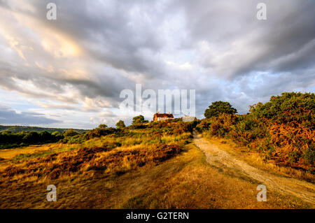 Reigate Heath Golf Clubhouse e il mulino a vento, Surrey England Regno Unito Foto Stock